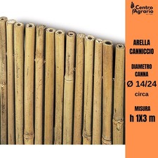 Arella bamboo star usato  Castelnuovo Magra