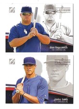 Usado, 2012 Onyx Platinum Prospects #/500 - CHICAGO CUBS Team Set comprar usado  Enviando para Brazil