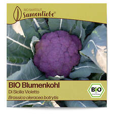 Bio blumenkohl samen gebraucht kaufen  Worms