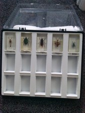 Bugs resin collectors for sale  BATLEY
