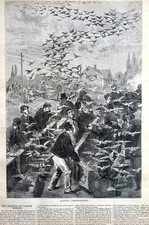 Training carrier pigeons for sale  Brooklyn