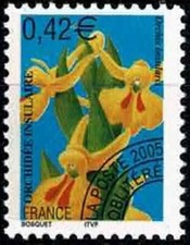 2005 fleurs orchidées d'occasion  Dieuze