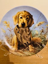 Porcelain collectible plates for sale  Richmond