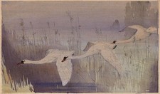 Allen william seaby for sale  UK