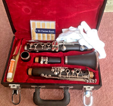 Clarinet case accessories for sale  BEXHILL-ON-SEA