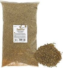 5kg rasensaat berliner gebraucht kaufen  Bardowick