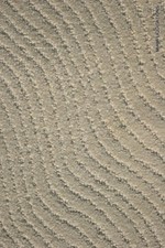 Masland carpets area for sale Masland carpets area for sale  Fort Lauderdale