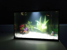 Gallon fish tank for sale  Danville