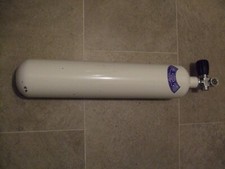 Litre beaver pony for sale  UK