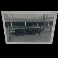 1953 agriculture tech for sale  Latta