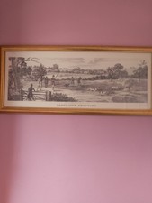 Partridge shooting engraved for sale  YORK