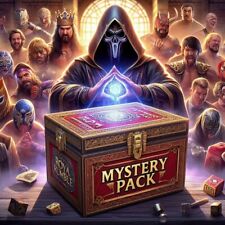 Wwe mystery pack gebraucht kaufen  Erfurt