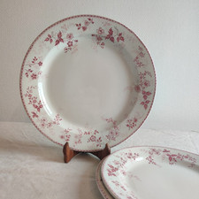 Plats service dugazon d'occasion  Saint-Macaire