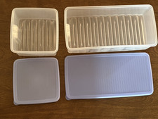 Contenitori tupperware fridges usato  Spedire a Italy