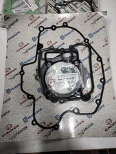 Husqvarna 450 510 usato  Catanzaro