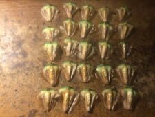 Pound araucaria excelsa for sale  Honolulu