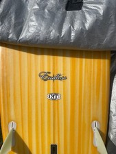 Endless nsp surfboard for sale  BRAUNTON