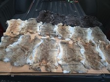 Pcs real rabbit for sale  Lake Zurich