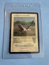 Life tcg birds for sale Life tcg birds for sale  HARROW