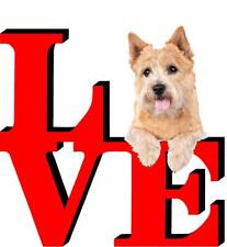 Norwich terrier love for sale  Pottstown