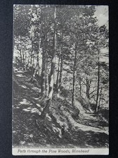 Somerset minehead path for sale  UK