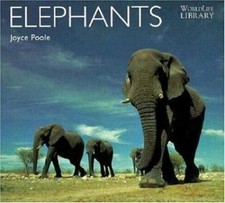 Elephants life library for sale  Seattle