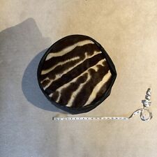 Vintage zebra skin for sale  SEVENOAKS
