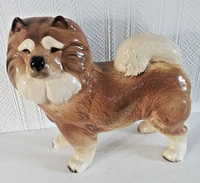 Chow chow dog for sale  SOUTHAMPTON