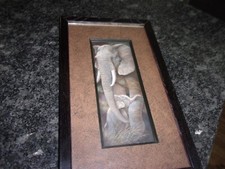 Young curious elephant for sale  Selah