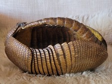 Vintage antique taxidermy for sale  Lake Arrowhead