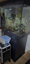 Juwel lido 200l for sale  LONDON