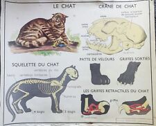 Ancienne affiche scolaire. d'occasion  Clermont
