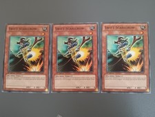 Swift scarecrow common for sale  BELFAST