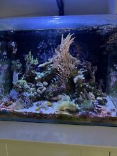 Marine aquarium setup for sale  ATHERSTONE