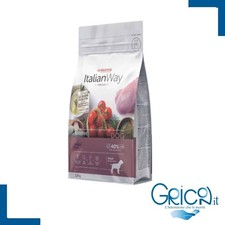 Italian way cane usato  Rovato