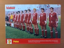 Polen nationalmannschaft weltm gebraucht kaufen  Stockelsdorf