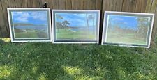 Set large golf for sale  Princeton