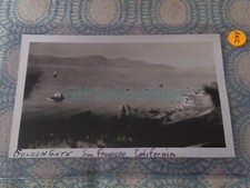 Akc vintage photograph for sale  Metamora