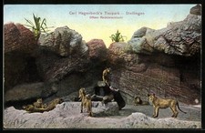 Ansichtskarte hamburg stelling gebraucht kaufen Ansichtskarte hamburg stelling gebraucht kaufen  Berlin