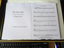 Holy boy flugel for sale  PETERBOROUGH