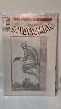 Spider man 497 usato  Chioggia