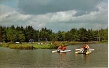 Pedal boats florida for sale  Orland Park