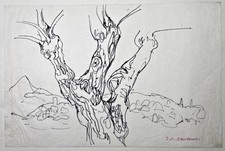 Ida Maria Bauerreiss - Disegno Di Albero Augsburg Firmato 1940 comprar usado  Enviando para Brazil