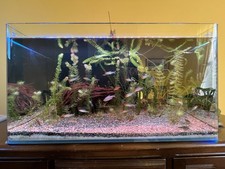 Reef tank rear for sale  HUDDERSFIELD
