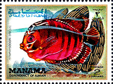 Mnh tier wildtier gebraucht kaufen  Unna