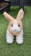 Furreal hase 2011 gebraucht kaufen Furreal hase 2011 gebraucht kaufen  Esens