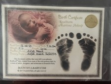 Reborn baby dolls for sale  Monroe