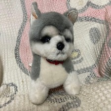 Peluche cane husky usato Peluche cane husky usato  Spedire a Italy