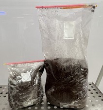 Pasteurised cvg mushroom for sale  LITTLEHAMPTON