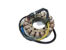 Statore aprilia pegaso usato  Italia